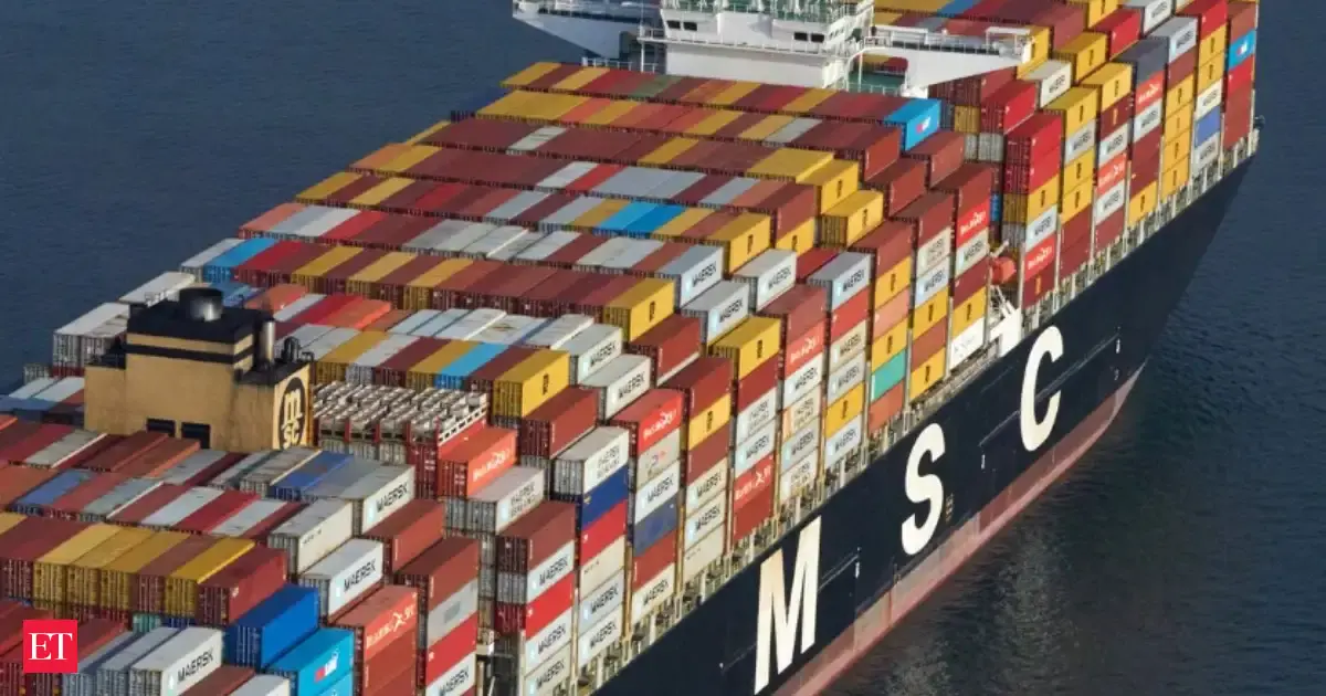 Shipping lines cite higher costs beyond their control for surcharges