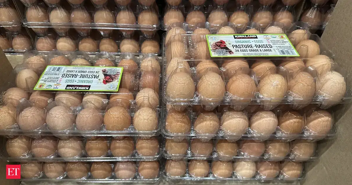 Record U.S. egg prices trigger federal lawsuits against top egg producers: What is causing U.S. egg prices to surge to $6.23 per dozen?