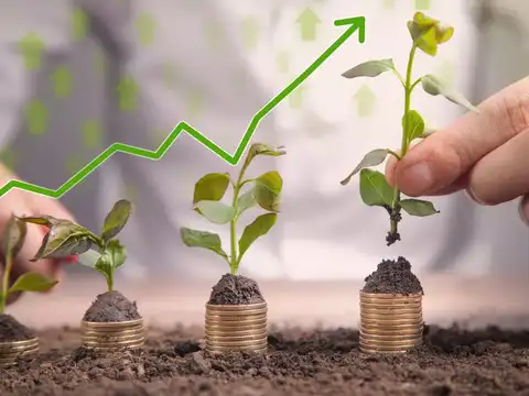Phase 2 (Years 9-12): When compounding accelerates
