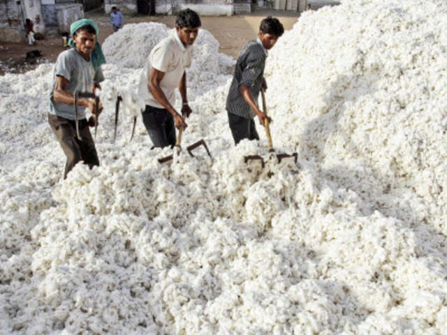 Ban on cotton exports