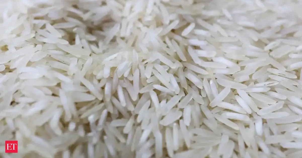 War in West Asia slows India’s rice exports as freight costs surge