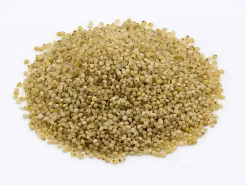 Barnyard Millet (Sanwa) Dosa