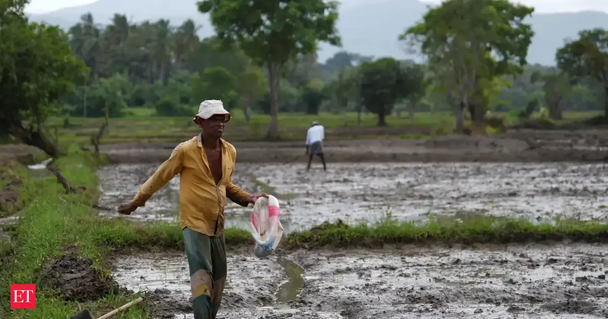 India asks China for urea as war-induced gas crunch bites