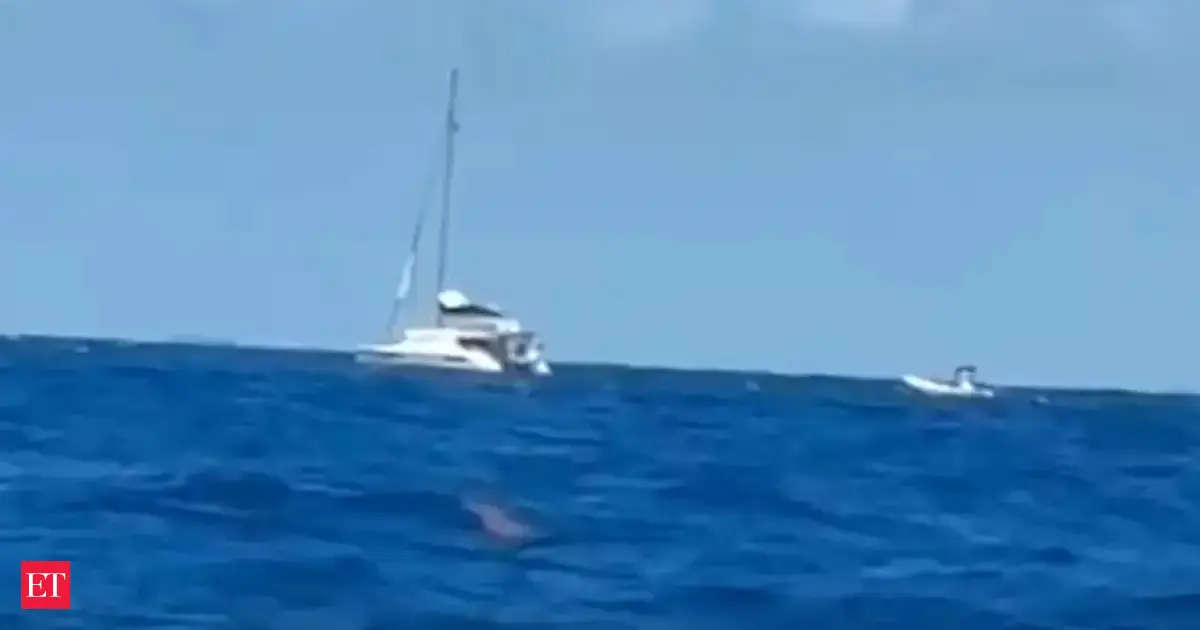 Canadian man found dead in drifting catamaran near Belize coast - Here's why police are investigating the boat as a possible crime scene
