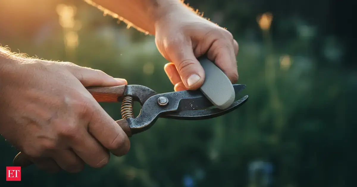 Gardeners Are Sharpening Their Pruning Shears With Something You Already Own