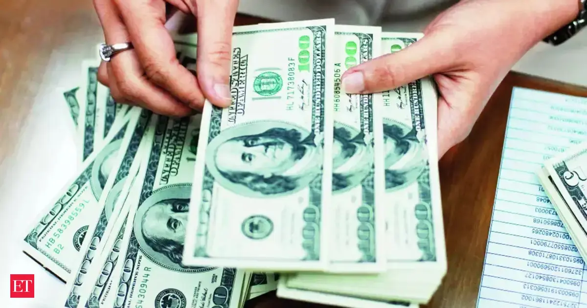 Forex reserves decline by $12 billion as volatility hits asset valuations