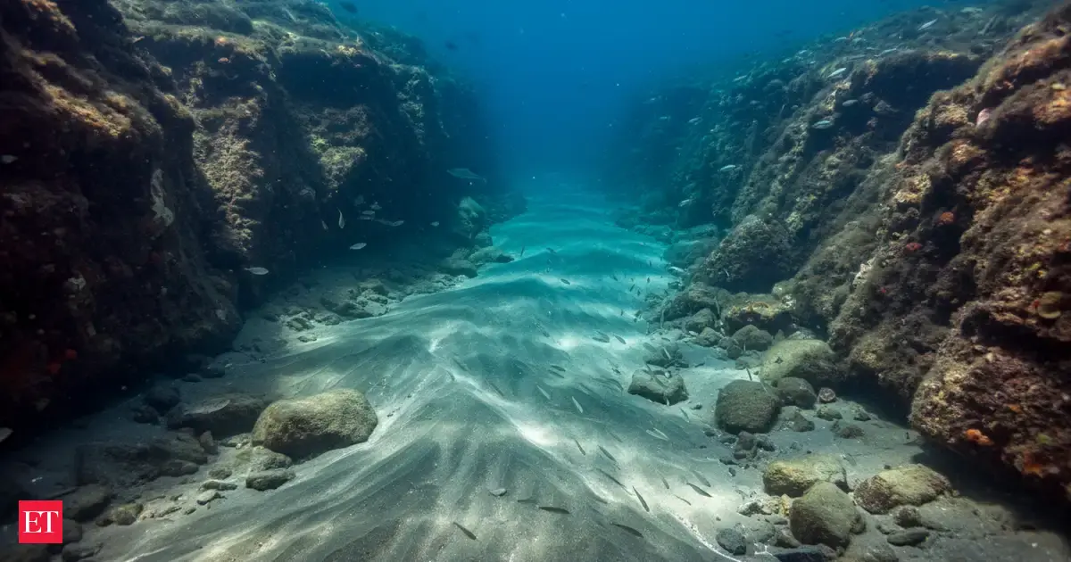 An Underwater River Beneath the Black Sea That Behaves Just Like One on ...