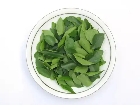 Curry Leaves for Antioxidants