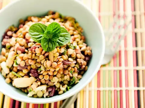 Lentils and Beans for Zinc