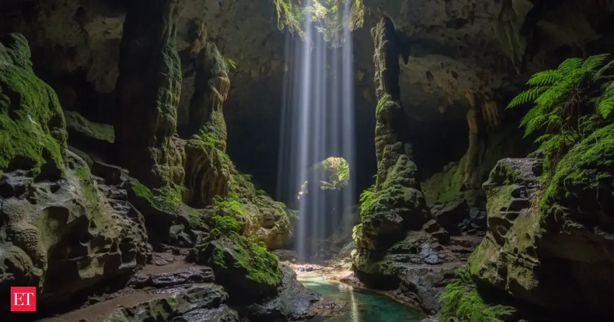 A Hidden Cave in New Zealand Is Rewriting Everything We Thought We Knew ...