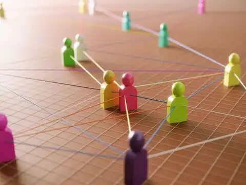 Networks and knowledge are also forms of capital