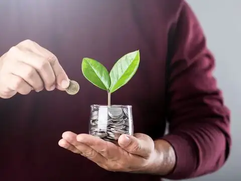 The power of compounding rewards early effort