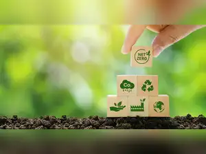 India stands at decisive stage in global transition towards green ...