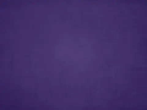 Day 9 &ndash; Navami &ndash; Purple