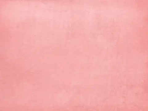 Day 8 &ndash; Ashtami &ndash; Pink