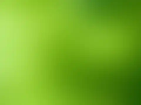 Day 2 &ndash; Dwitiya &ndash; Green