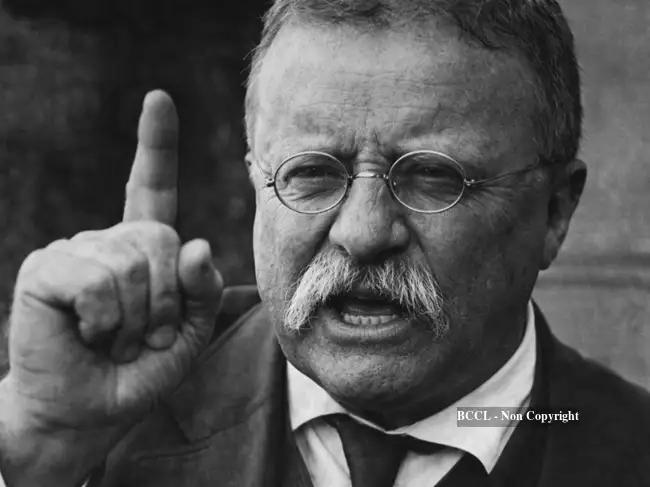 War quote of the day by Theodore Roosevelt, first American to receive ...