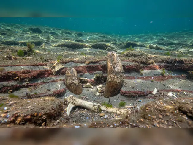 Half a Million Years Underwater: Scientists Discover Rare Ice Age ...