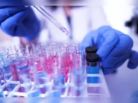 Bodal Chemicals Ltd.