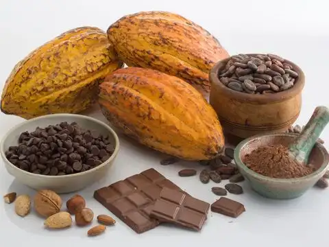 Hazelnut and Cocoa Nib Mix