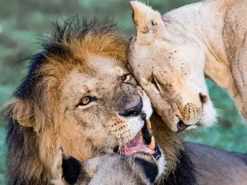 Amboseli National Park