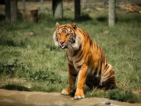 Serengeti National Park