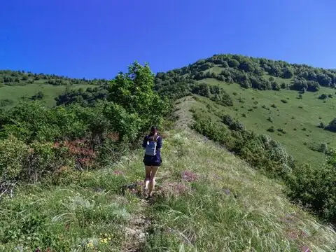 Rakiura Track
