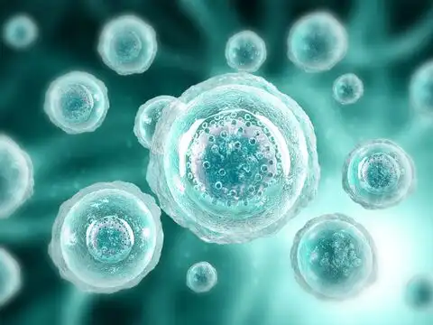 Accelerating Cellular Detoxification