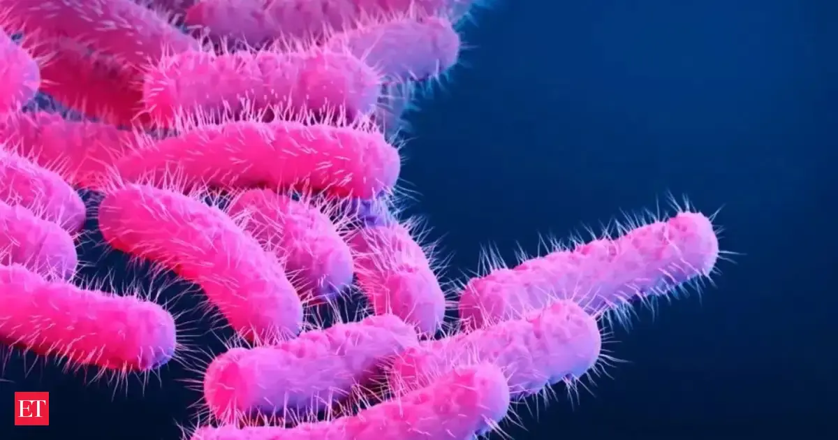 Common weedkiller in Australian homes linked to ‘superbug’ threat, study warns of rising antimicrobial resistance beyond antibiotic misuse