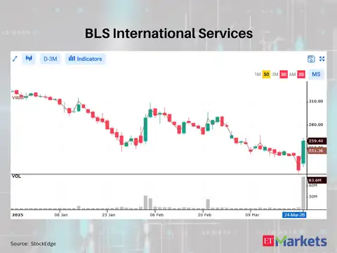 BLS International Services