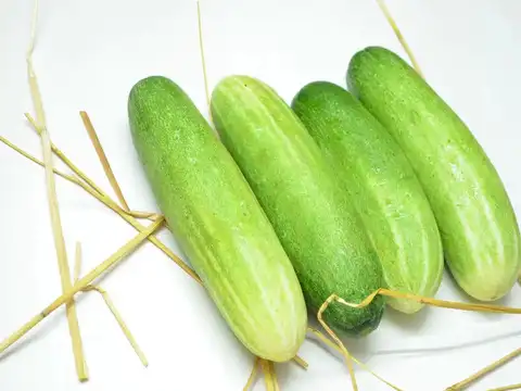 Detoxification and Kidney Support