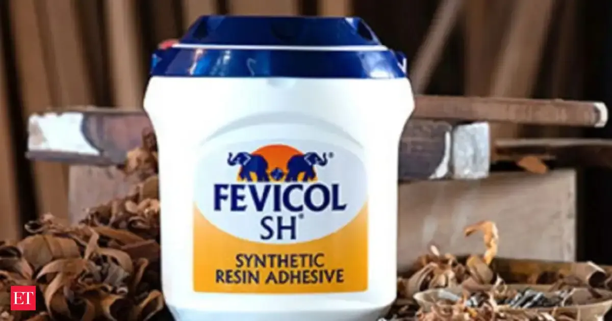 Israel, Iran war: Pidilite to absorb some price pressures, expects profit margins to remain within target band