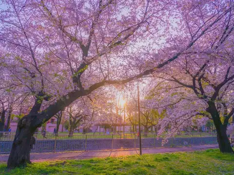 Hiroshima