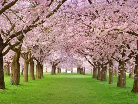 Kyoto