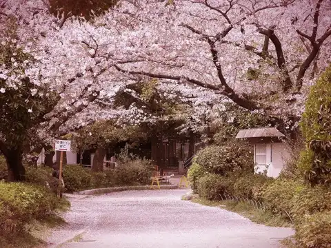 Osaka