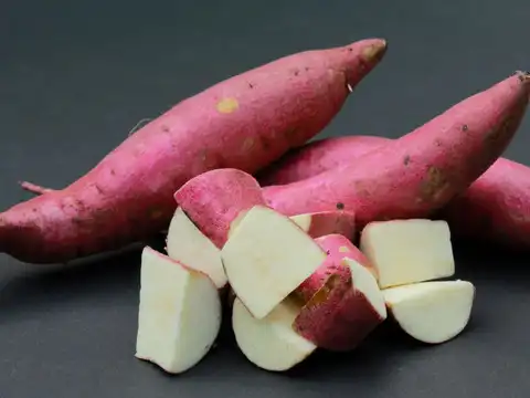 Complex Carbohydrates for Muscle Recovery