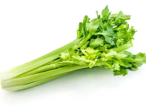 Celery &mdash; The Crunchy Hydrator