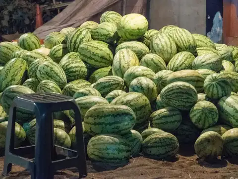 Watermelon &mdash; The Lycopene Reservoir