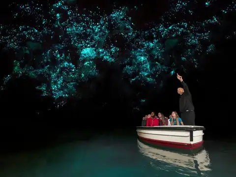 Explore Waitomo Glowworm Caves