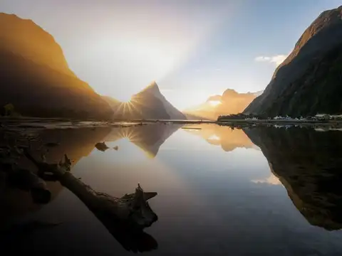 Cruise through Milford Sound