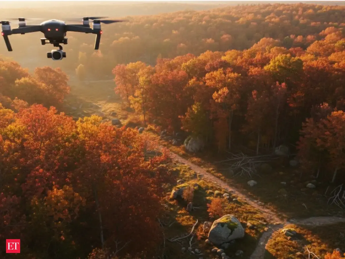 Scientists Are Now Mapping Invisible Soil Life From the Sky