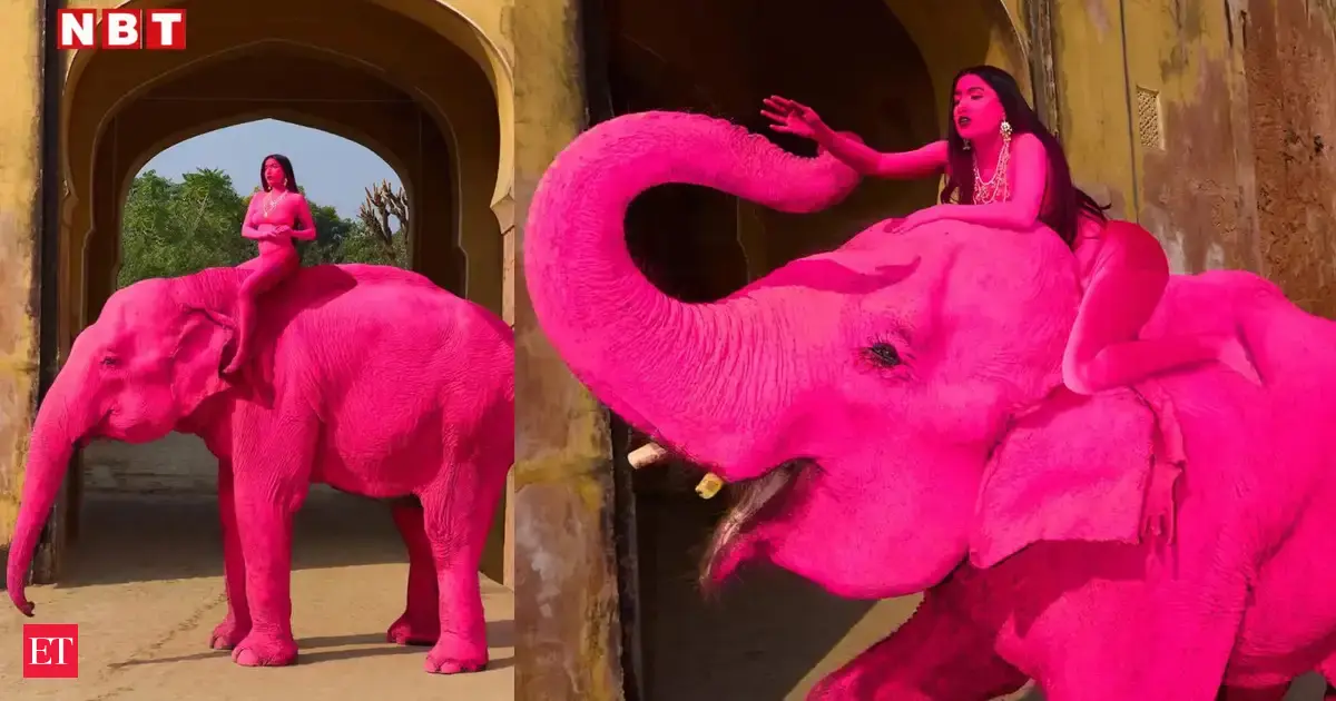 Who is Julia Buruleva? Russian photographer under fire over ‘pink elephant’ photoshoot in Jaipur