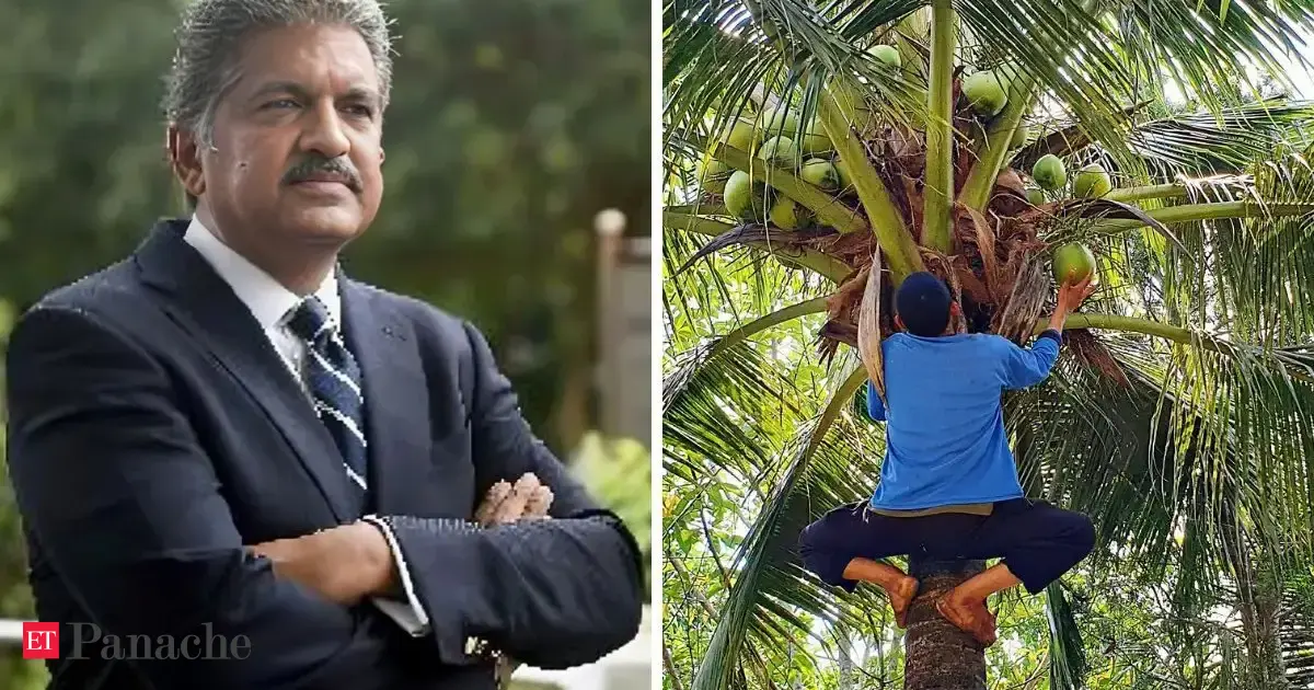 Book coconut harvester like a cab? Anand Mahindra says India is digitising even its most traditional jobs