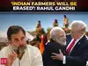 Assam polls: Rahul Gandhi says US-India agri deal will &lsquo;crush and erase&rsquo; Indian farmers