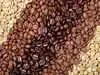 Brazilian researchers remix coffee varieties to confront climate challenge