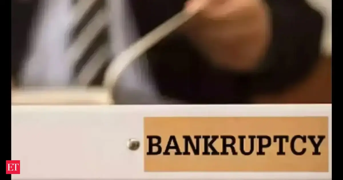 Personal guarantors to bankrupt firms will need to declare crypto holding, art collections in IBC proceedings