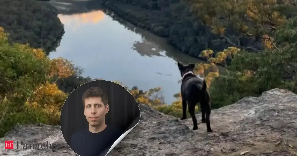 Man with no medical degree creates cancer vaccine using ChatGPT for his sick pet. Open AI CEO Sam Altman reacts: ‘This should be easy ….’