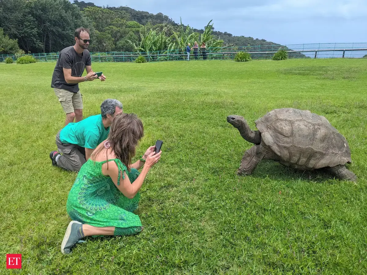 Where is tortoise Jonathan, world's oldest living land animal? How to go and see him?