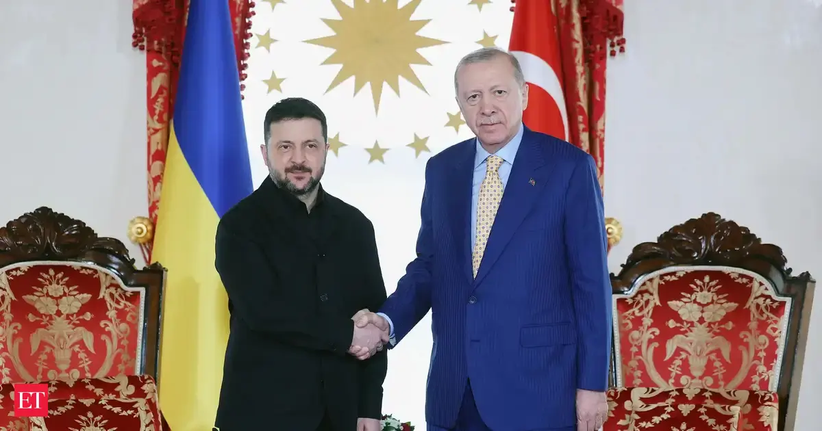 Recep Tayyip Erdogan, Volodymyr Zelensky discuss energy security, peace efforts