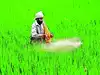 Amid Iran war, India in mission mode to secure fertiliser supplies